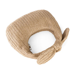 Boho handmade Vacation Style Bow Straw Handbag
