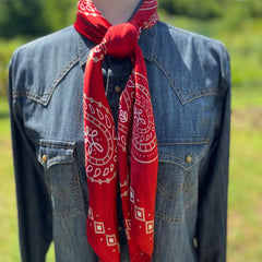 Paisley Wild Rags (Blaze) | Red Silk Scarf