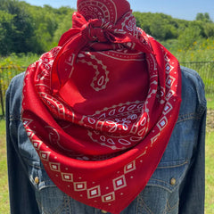 Paisley Wild Rags (Blaze) | Red Silk Scarf